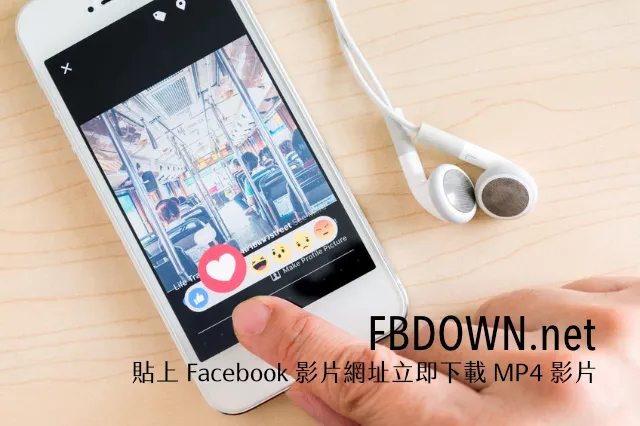 FBDown.net 贴上 Facebook 视频网址立即下载 MP4 文件